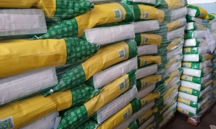 Насіння соняшника БАРСА. (SUMO) - фото № 4