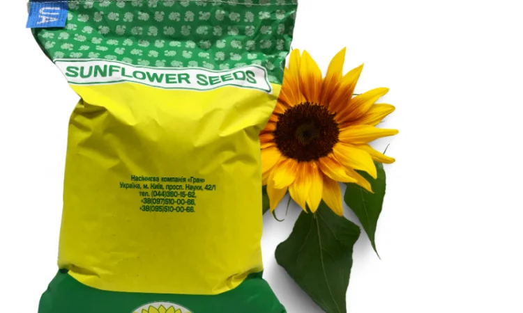 Високоврожайний гібрид соняшника - УРБАН OR7 - фото № 1