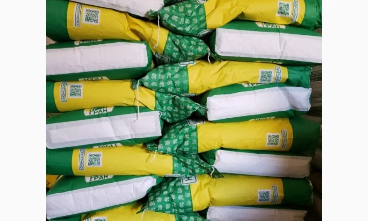 Насіння від виробника - ІМІ гібрид соняшника - Альварез - фото № 1