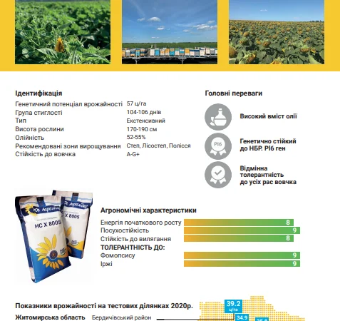 Гибрид подсолнечника НС Х 8005 - фото № 2