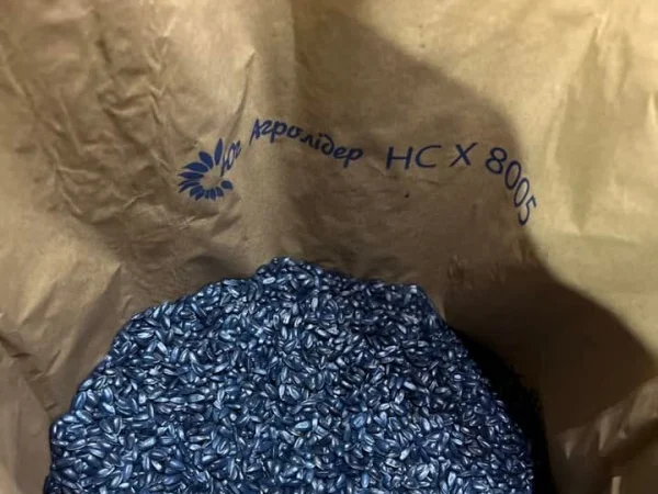 Гибрид подсолнечника НС Х 8005 - фото № 4