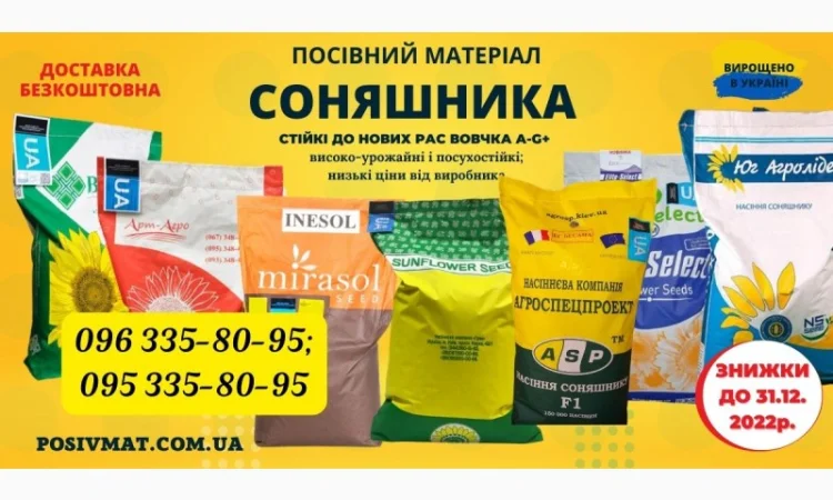 Насіння соняшника під гранстар 50 гр/га, посухостійкі, високоурожайні - фото № 1