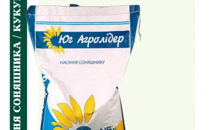 Насіння соняшника під гранстар 50 гр/га - фото № 3