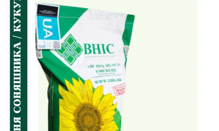 Насіння соняшника під гранстар 50 гр/га - фото № 5