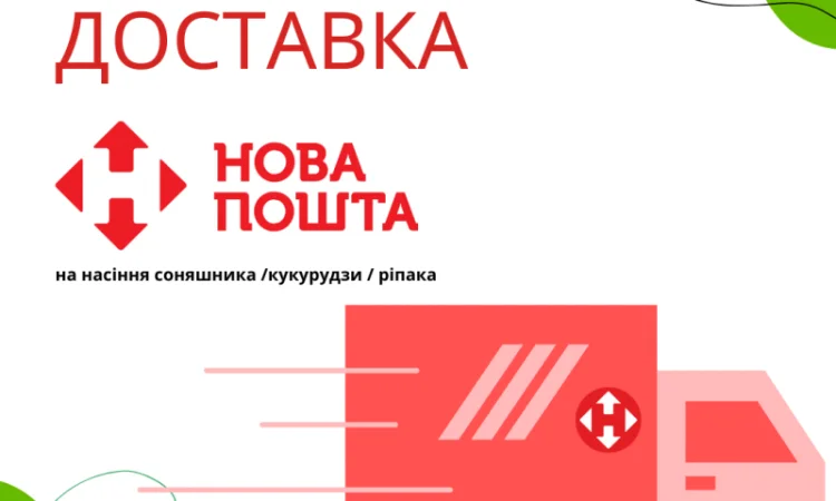 Насіння соняшника під гранстар 50 гр/га - фото № 6