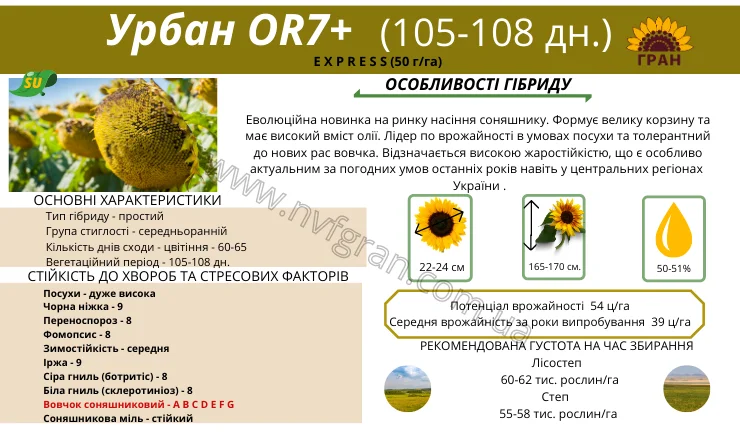 Соняшник під гранстар гібрид - УРБАН OR7(110дн) - фото № 1