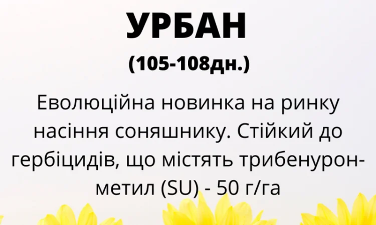 Соняшник під гранстар гібрид - УРБАН OR7(110дн) - фото № 3