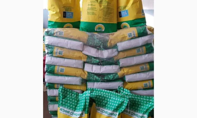 Соняшник під гранстар гібрид - УРБАН OR7(110дн) - фото № 3