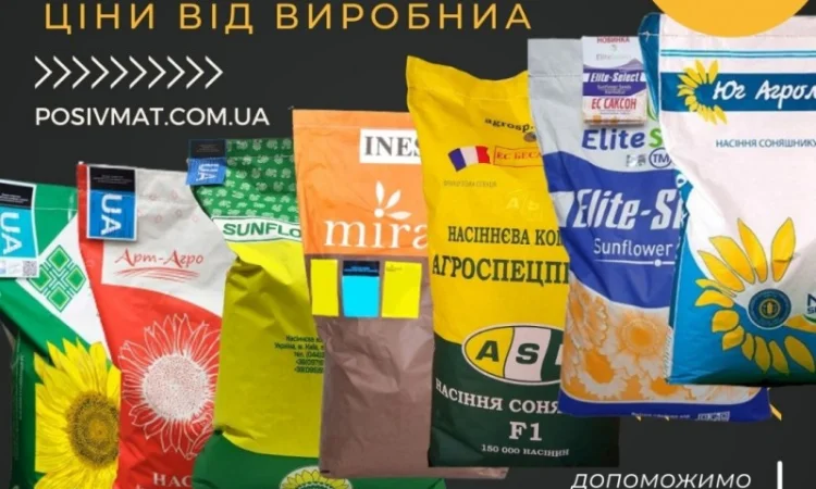 Насіння СОНЯШНИКА за цінами від виробника - фото № 1