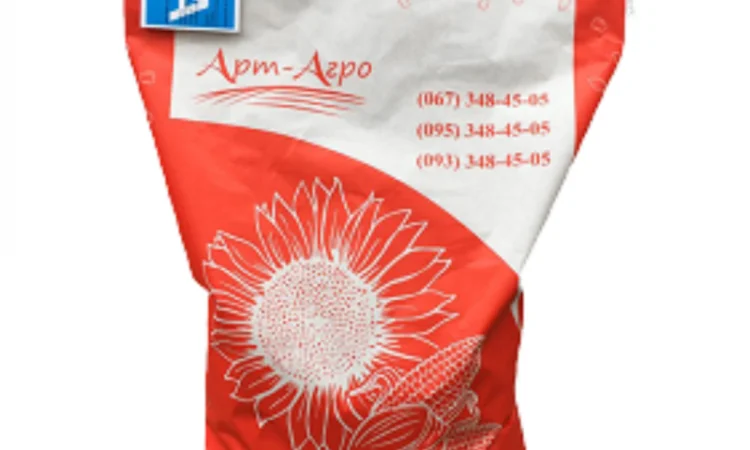 Насіння СОНЯШНИКА за цінами від виробника - фото № 2