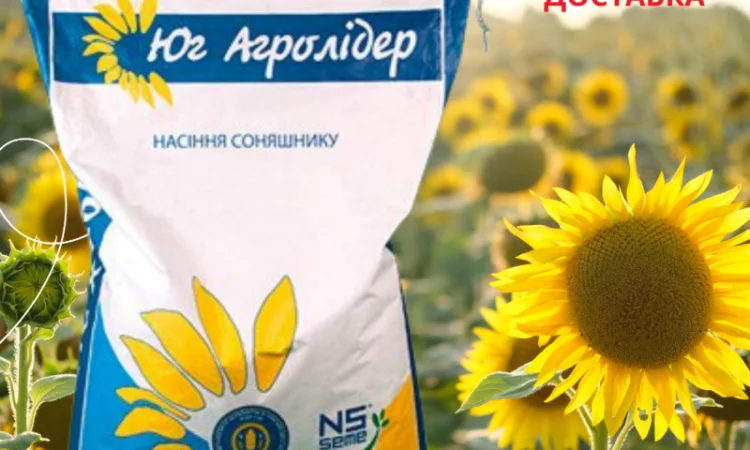 Насіння СОНЯШНИКА за цінами від виробника - фото № 4