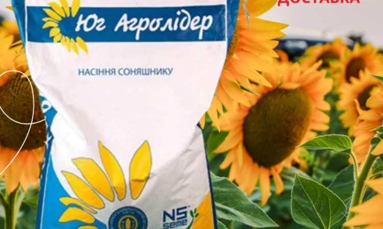 Насіння СОНЯШНИКА за цінами від виробника - фото № 5