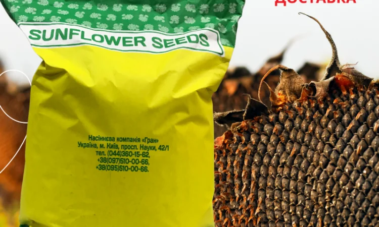 Насіння СОНЯШНИКА за цінами від виробника - фото № 6