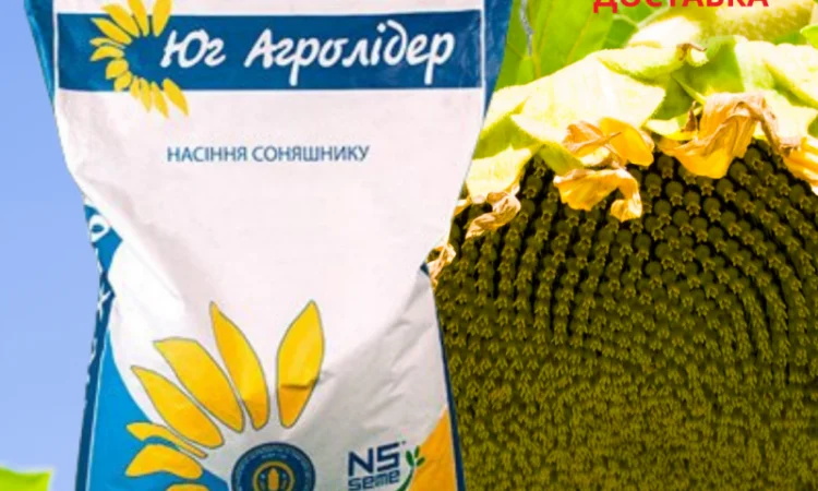 Насіння СОНЯШНИКА за цінами від виробника - фото № 8