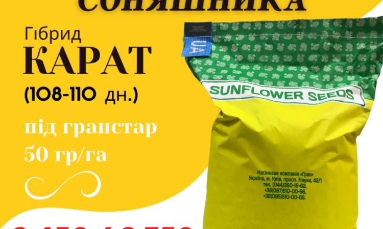 КАРАТ - насіння соняшника - фото № 1