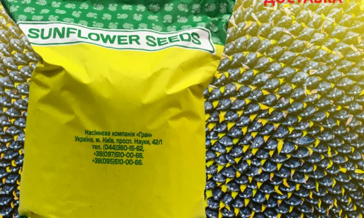 КАРАТ - насіння соняшника - фото № 2