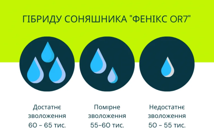 ФЕНІКС OR7 - фото № 3