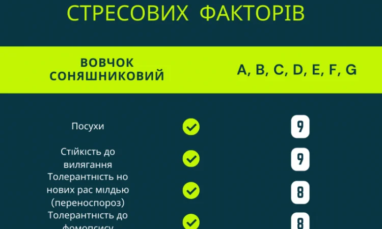 ФЕНІКС OR7 - фото № 4