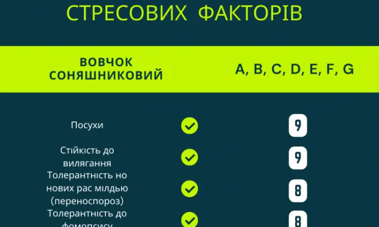 ФЕНІКС OR7 - фото № 4