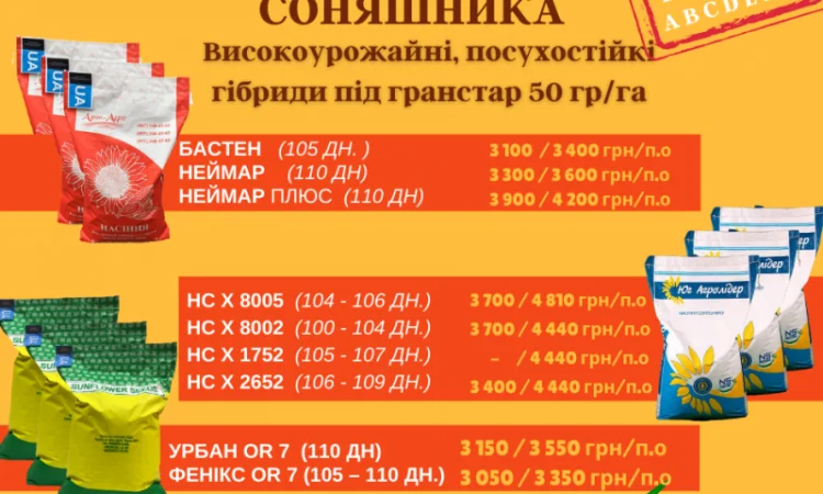 Соняшник - фото № 2