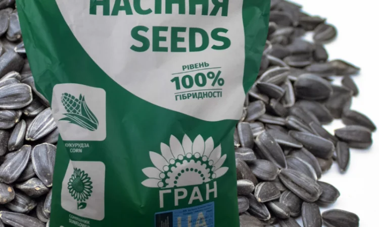 Соняшник - фото № 1