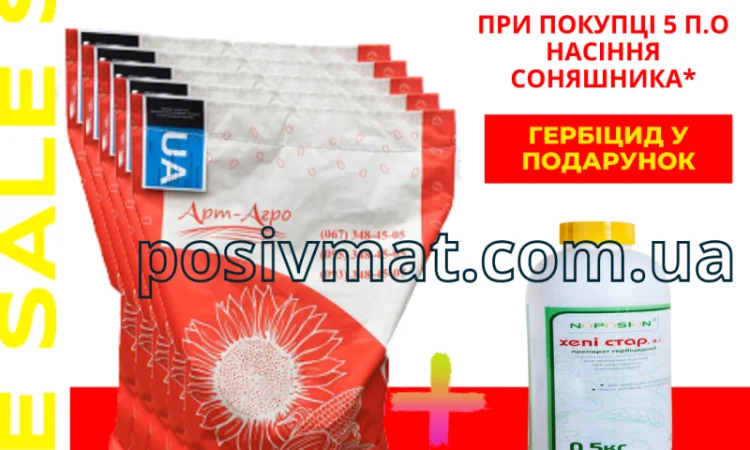Акція! Насіння соняшника - фото № 1