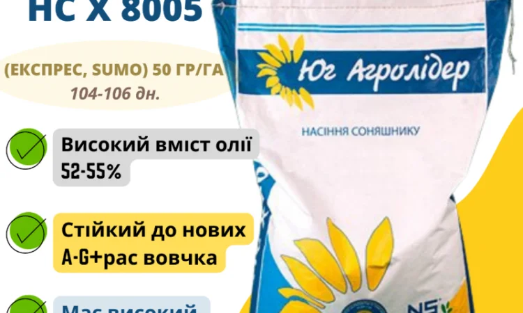 Насіння соняшника НС Х 8005 (Експрес - фото № 1