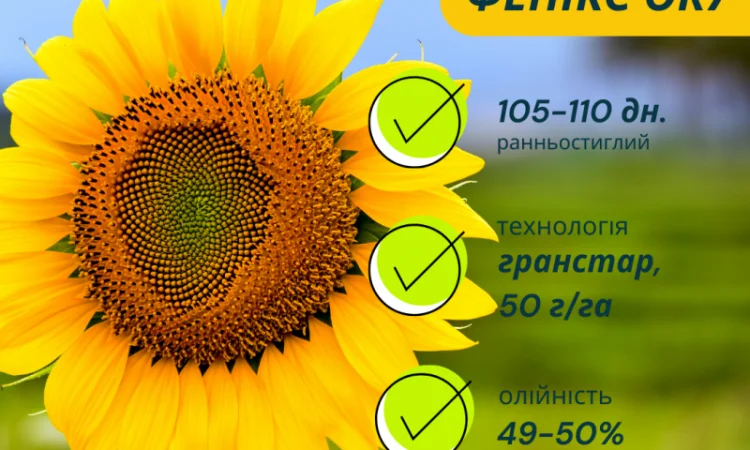 Акція !!! Насіння соняшника толерантний до гранстару + гербіцид у подарунок - фото № 2