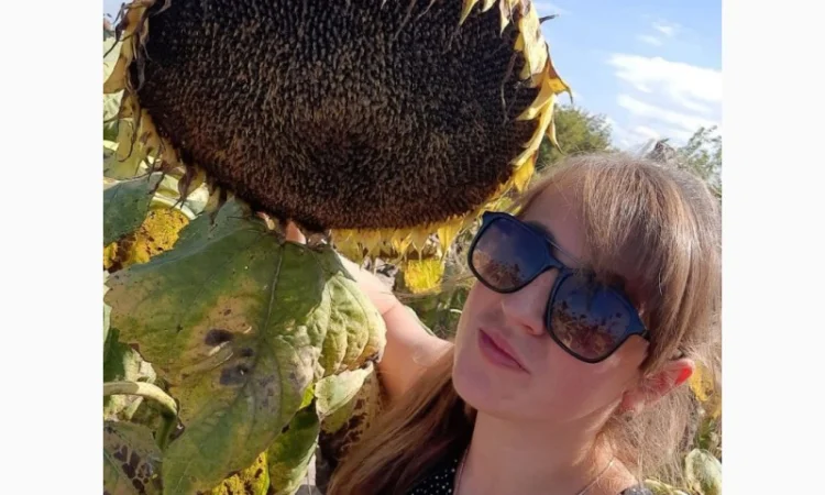 Насіння соняшника гібрид ФЕНІКС OR7+, Україна. Під гранстар 50 гр - фото № 3