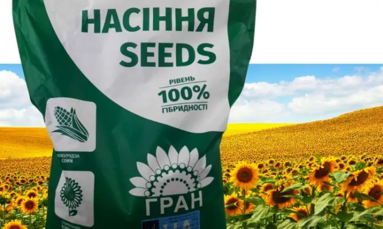 Насіння соняшника під євролайтнінг гібрид - Грізлі 100-107дн. - фото № 1