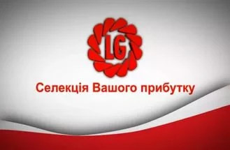 LG 5580 гибрид подсолнечника Limagrain продам - фото № 1