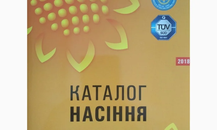 РОМЕО подсолнечник - фото № 1