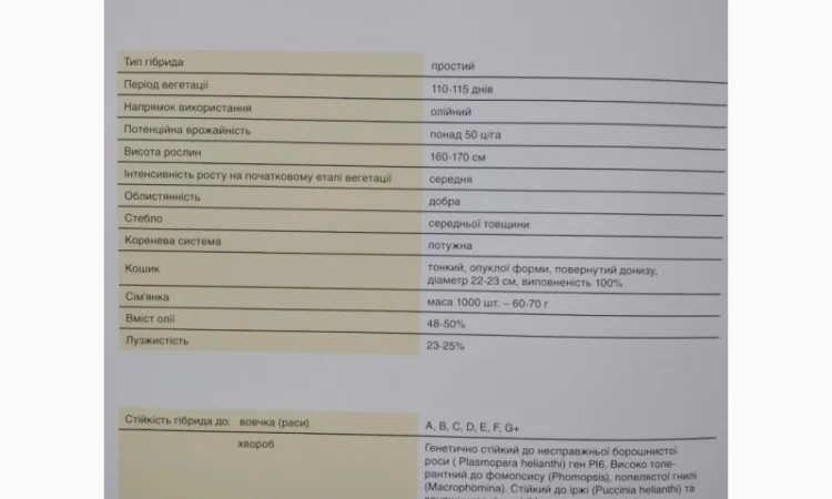 Фалкон QR7 подсолнечник - фото № 1