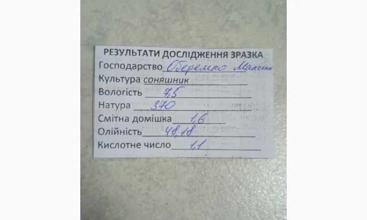 Продам соняшник - фото № 1