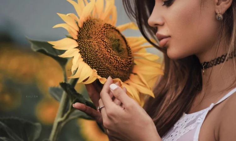 Дорого куплю подсолнечник масличный - фото № 1