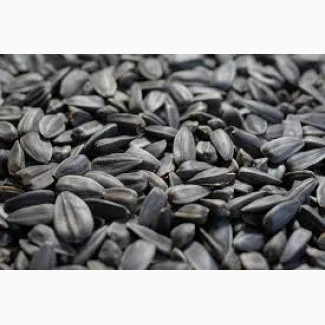 Дорого покупаю Семечку. Отходы семечки - фото № 1