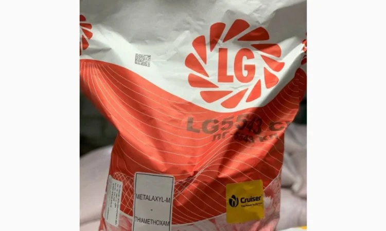 Насіння соняшнику від Лімагрейн 2022рік врожаю - фото № 1