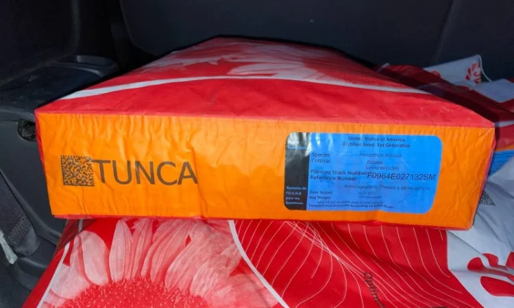 Насіння соняшнику від Лімагрейн 2022рік врожаю - фото № 2