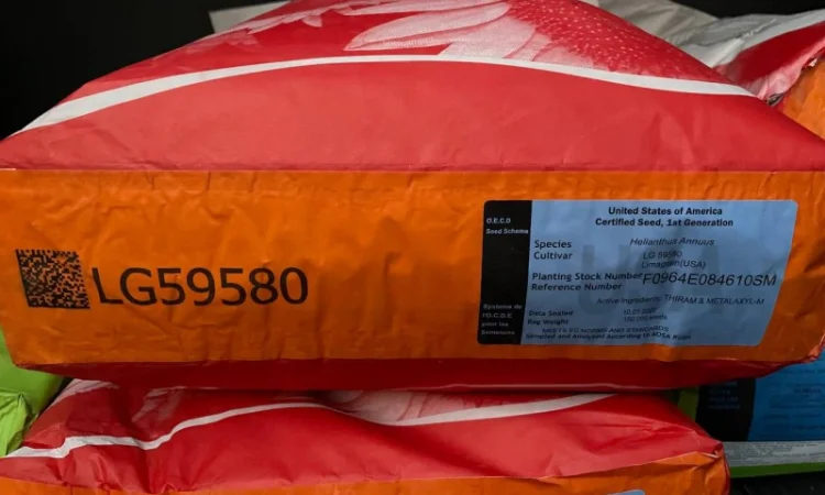 Насіння соняшнику від Лімагрейн 2022рік врожаю - фото № 5