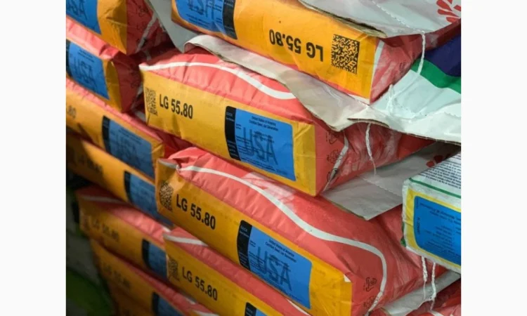 Насіння соняшнику від Лімагрейн 2022рік врожаю - фото № 6