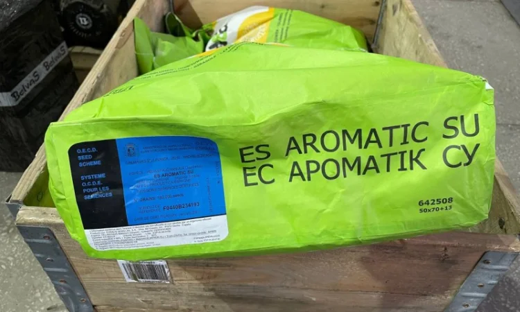 Насіння соняшнику Лідеа (Євраліс) оригінал 2022рік врожаю - фото № 1