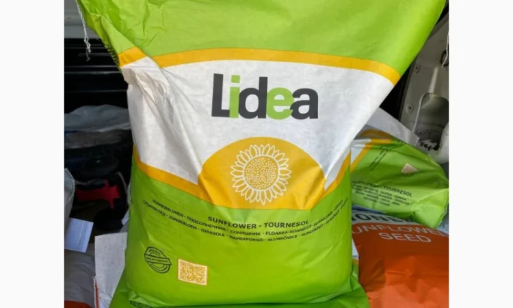 Насіння соняшнику Лідеа (Євраліс) оригінал 2022рік врожаю - фото № 2