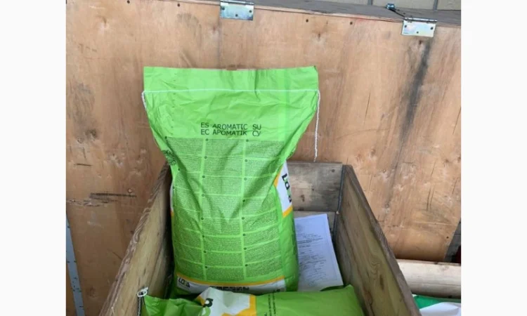 Насіння соняшнику Лідеа (Євраліс) оригінал 2022рік врожаю - фото № 5