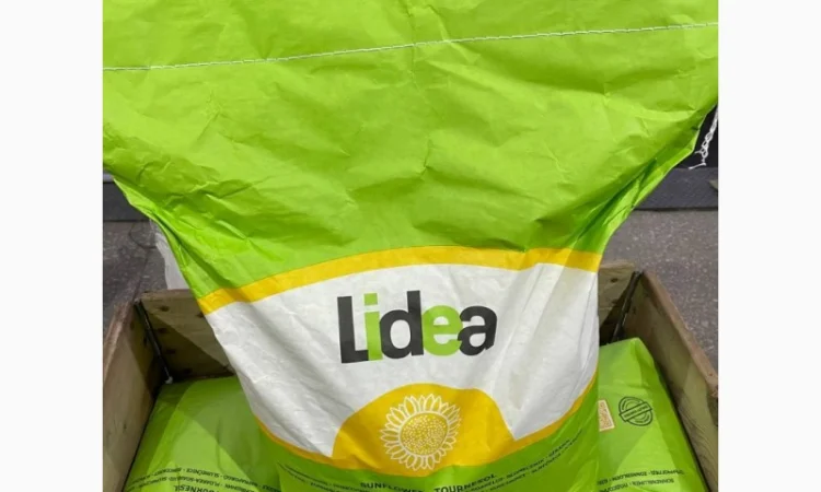 Насіння соняшнику Лідеа (Євраліс) оригінал 2022рік врожаю - фото № 6