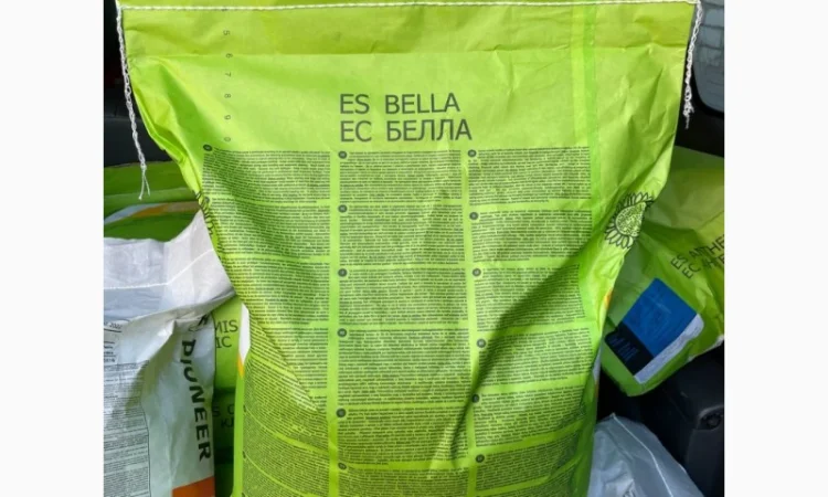 Насіння соняшнику Лідеа (Євраліс) оригінал 2022рік врожаю - фото № 7