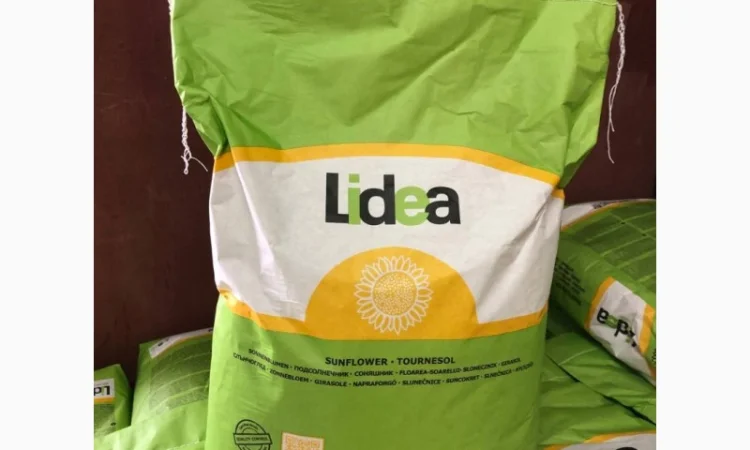 Насіння соняшника Лідеа ЄС Белла Євраліс Іспанія оригінал 2022рік врожаю - фото № 1