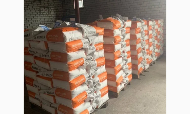 Насіння соняшнику Піонер П64ЛЕ25 оригінал США 2022рік врожаю - фото № 2