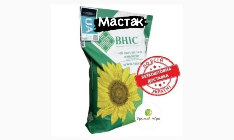 МАСТАК соняшник - фото № 1