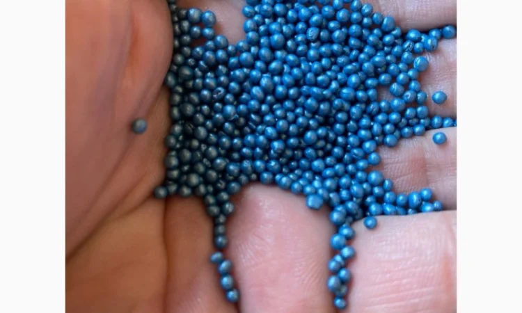 Насіння озимого ріпаку Бревант ПТ 275 (BREVANT PT275) в Тернополе - фото № 4