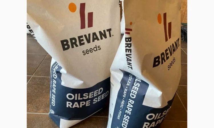 Насіння озимого ріпаку Бревант ПТ 275 (BREVANT PT275) в Тернополе - фото № 1